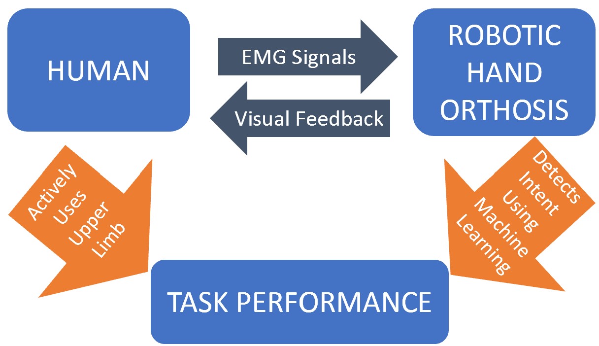 process diagram with 'human' and 'robotic hand orthosis', bidirectionally communicating through 'EMG signals' and 'visual biofeedback'. The human input of 'actively using upper limb' as well as the orthosis input of 'detects intent using machine learning' produces the desired result of 'task performance'